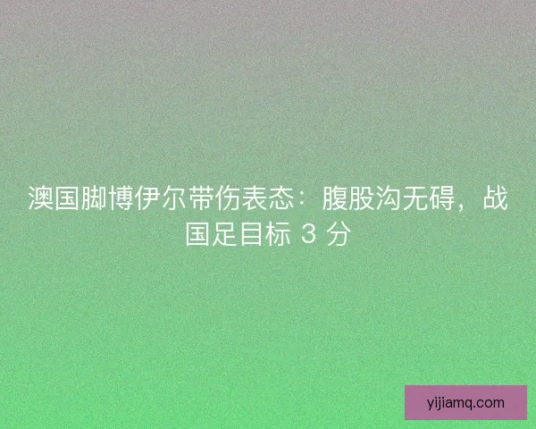 澳国脚博伊尔带伤表态：腹股沟无碍，战国足目标 3 分