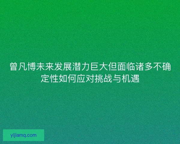 曾凡博未来发展潜力巨大但面临诸多不确定性如何应对挑战与机遇